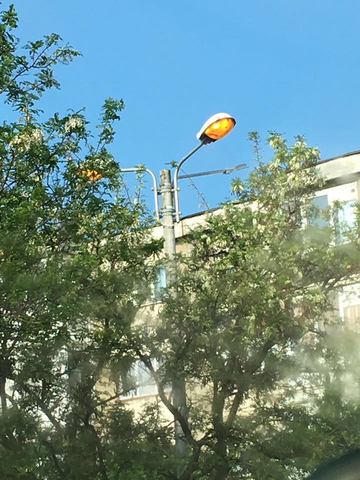 Iluminat arhitectural pentru gunoaie. Ziua în amiaza mare, Falcă a aprins becurile în Alfa Iluminat arhitectural pentru gunoaie. Ziua în amiaza mare, Falcă a aprins becurile în Alfa