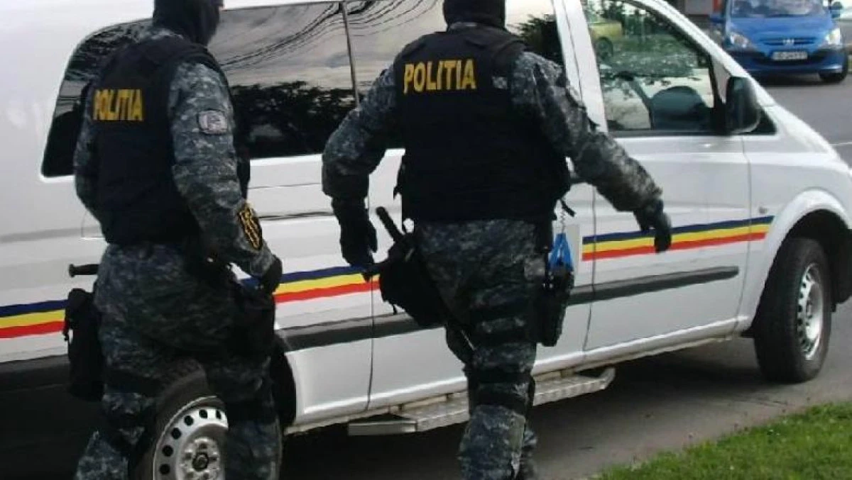 101 plante de canabis, cântărind aproximativ 65 de kilograme, descoperite de polițiști și procurori în zona Lipova