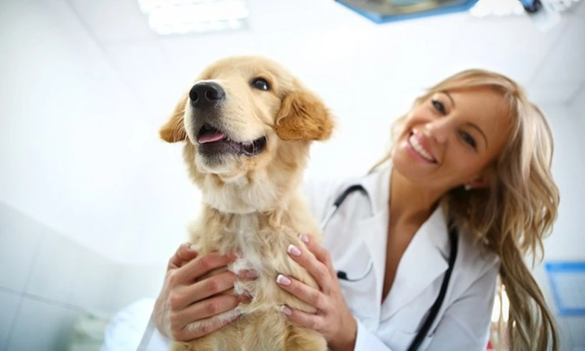 15 mai - Ziua națională a medicilor veterinari