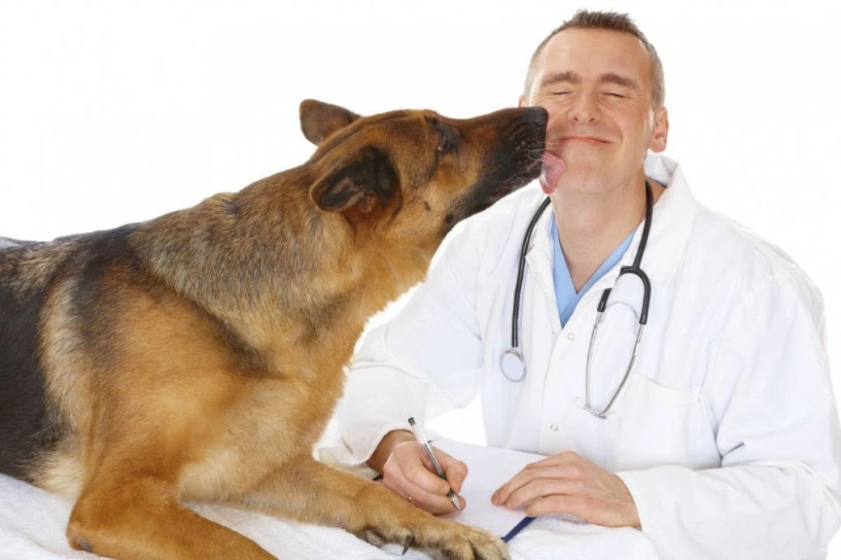 15 mai - Ziua naţională a medicului veterinar