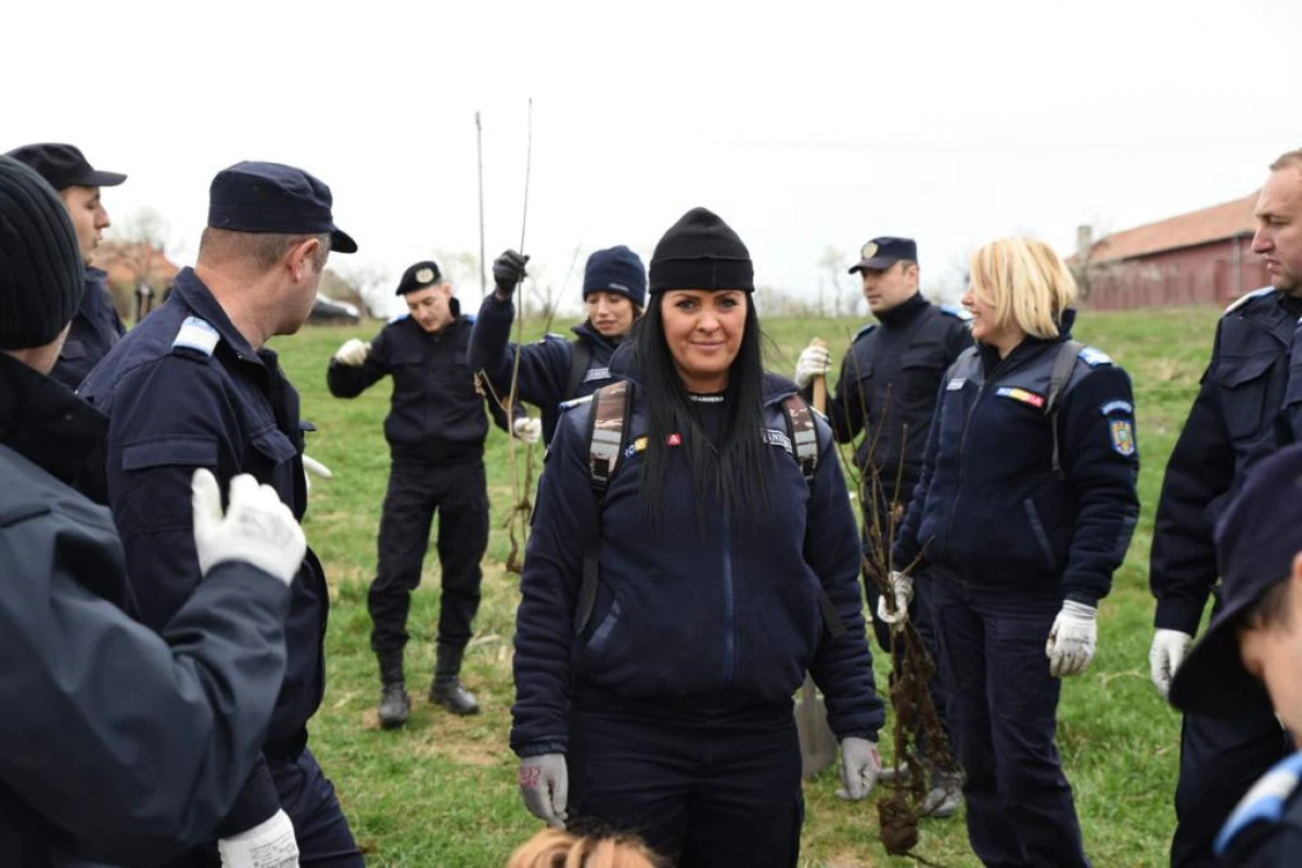 1500 de arbori redați naturii de jandarmi și voluntari, în cadrul proiectului ,,Plantăm fapte bune în România”