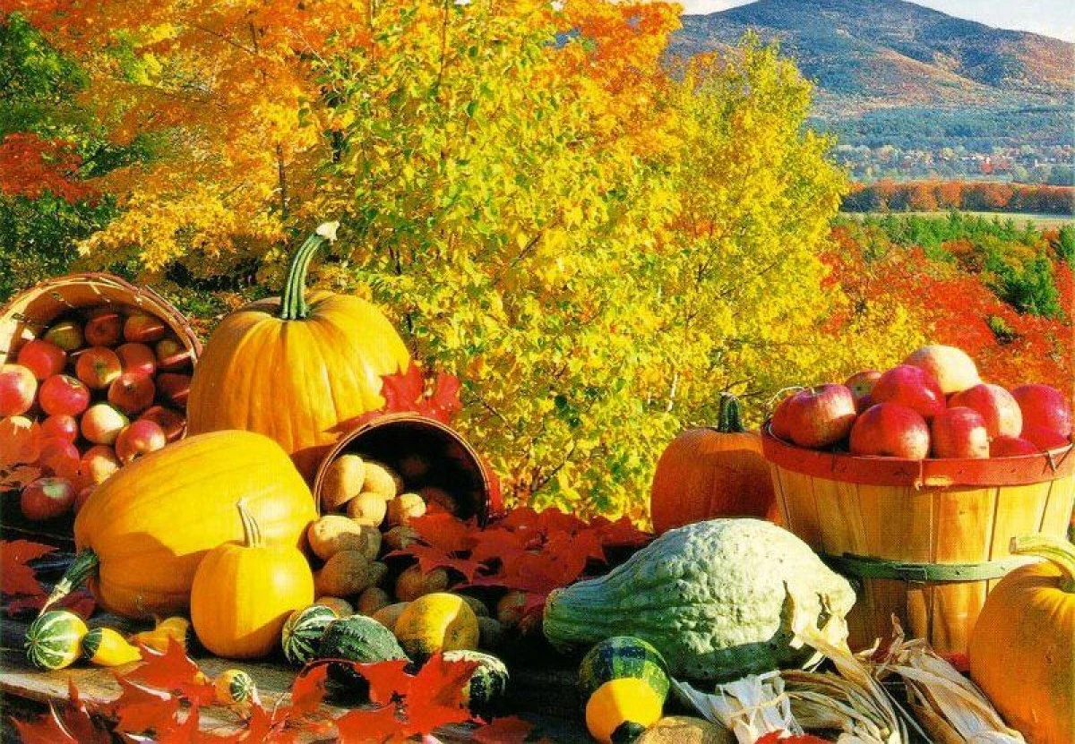 22 SEPTEMBRIE - ECHINOCȚIUL DE TOAMNĂ