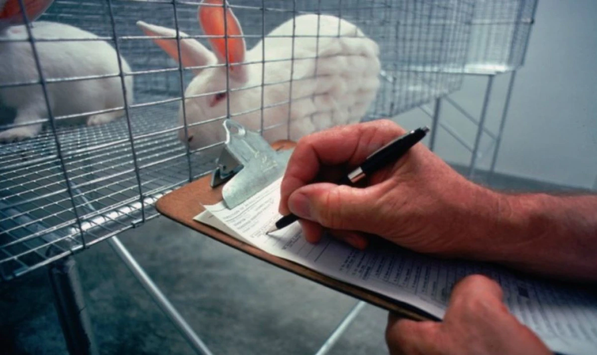 24 aprilie - Ziua mondială a protecţiei animalelor de laborator