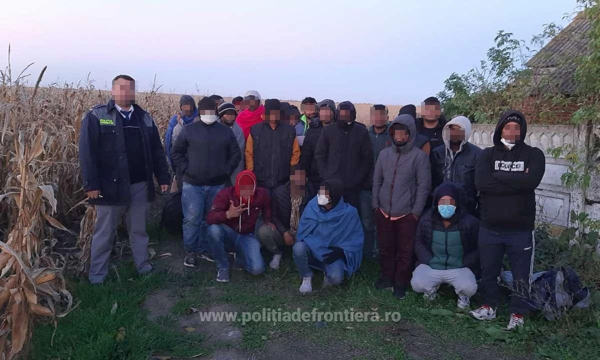 26 de cetățeni străini au fost depistați ascunși în porumb, în apropiere de Nădlac