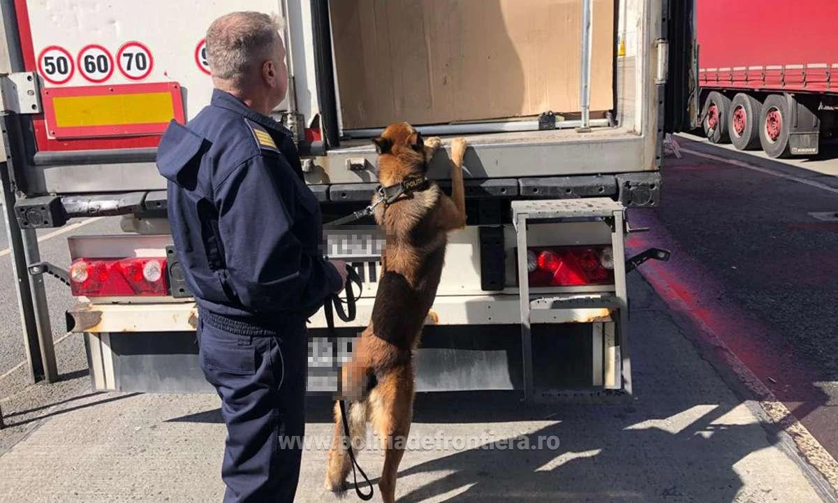 35 de migranți au încercat să treacă în Ungaria ascunși în două TIR-uri, încărcate cu mobilă şi piese auto