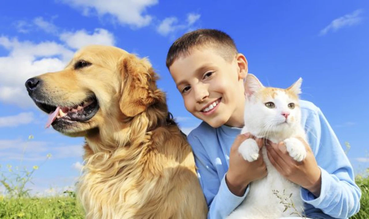 4 OCTOMBRIE - ZIUA INTERNAȚIONALĂ A ANIMALELOR