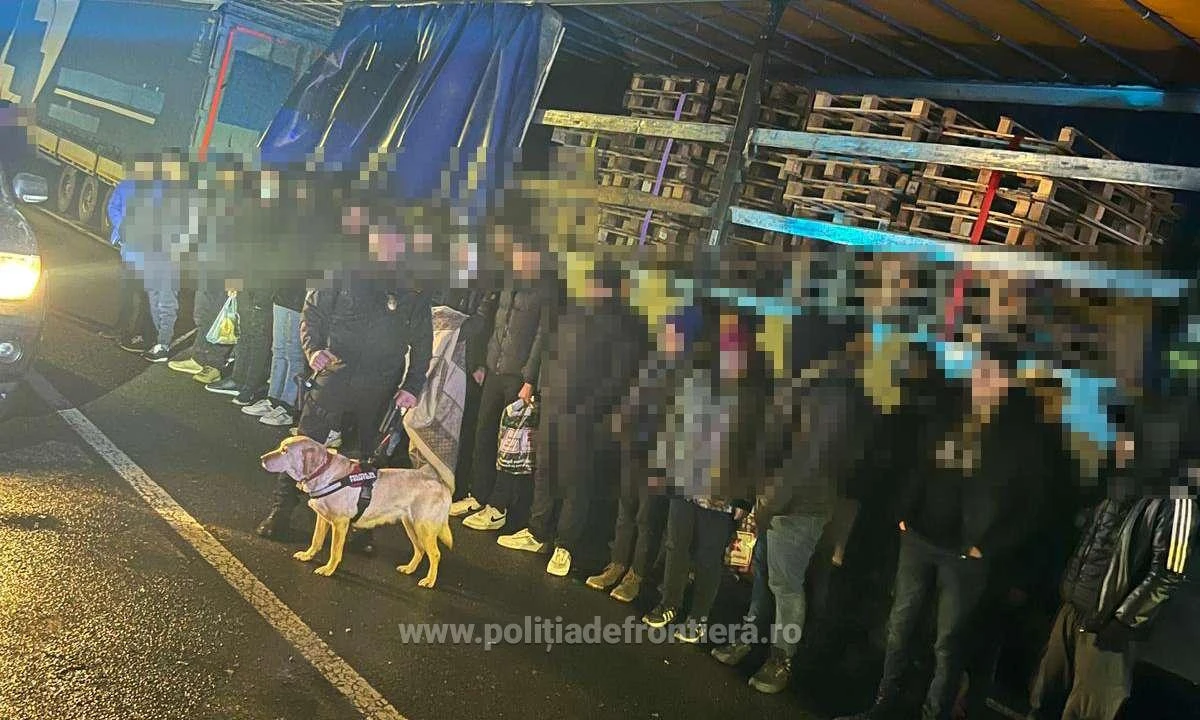 48 de migranți au fost găsiți în cinci mijloace de transport, la P.T.F. Nădlac II