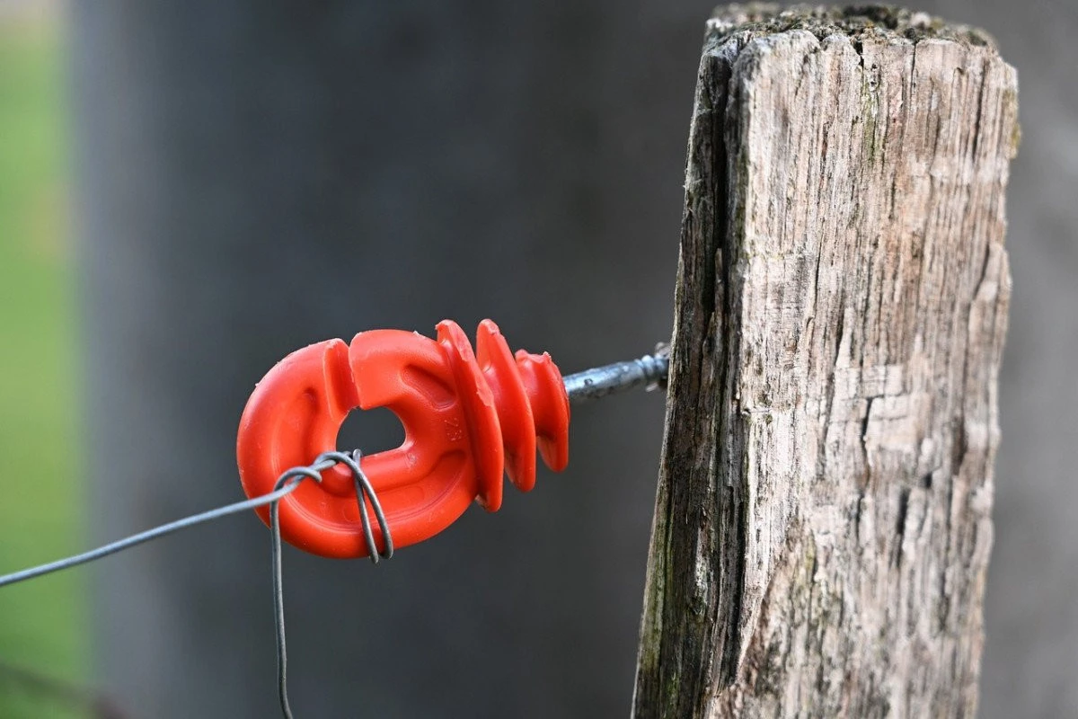 5 lucruri de evitat la construirea unui gard electric