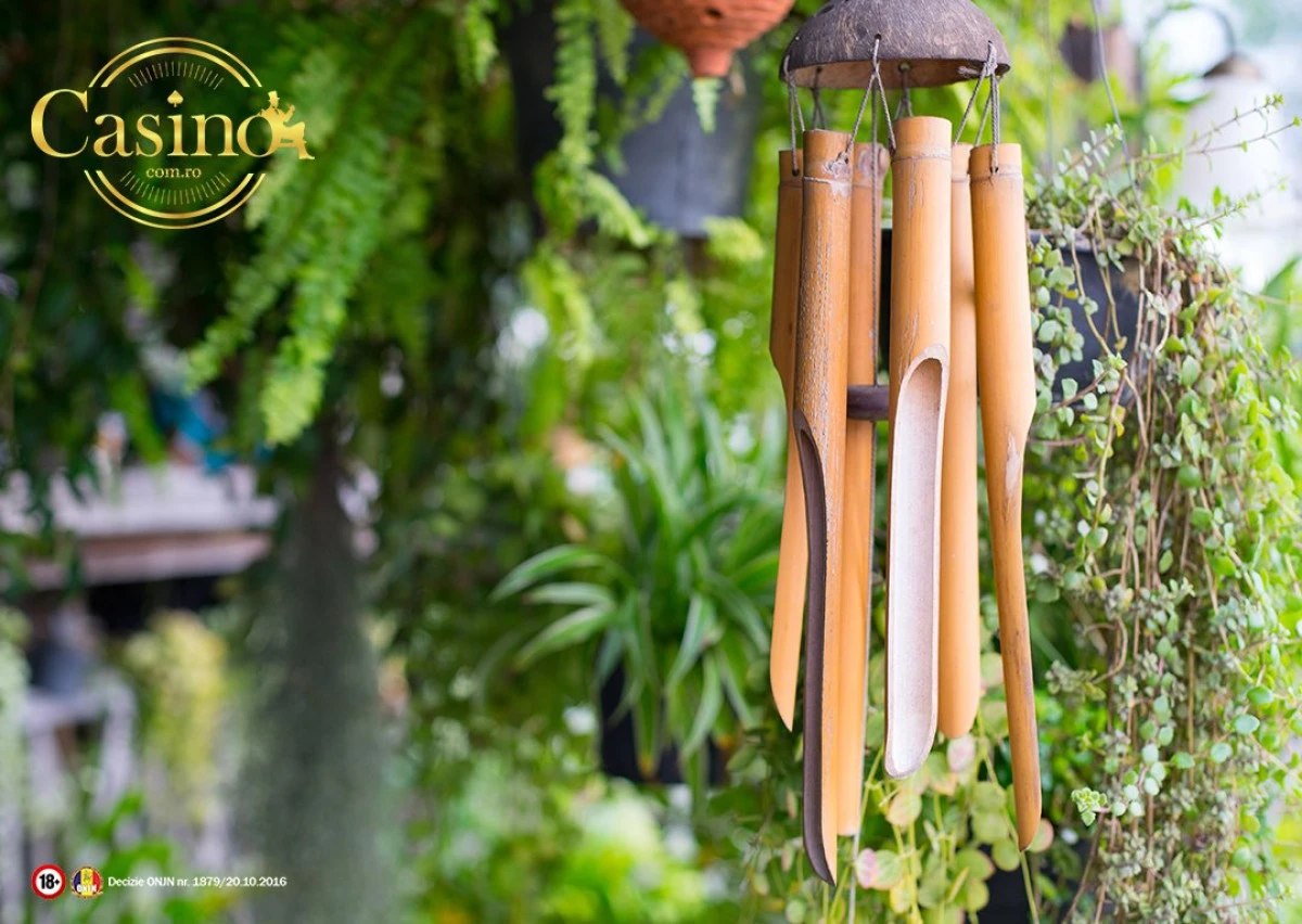 5 plante feng-shui care îți pot aduce noroc! Tu știai de existența lor?