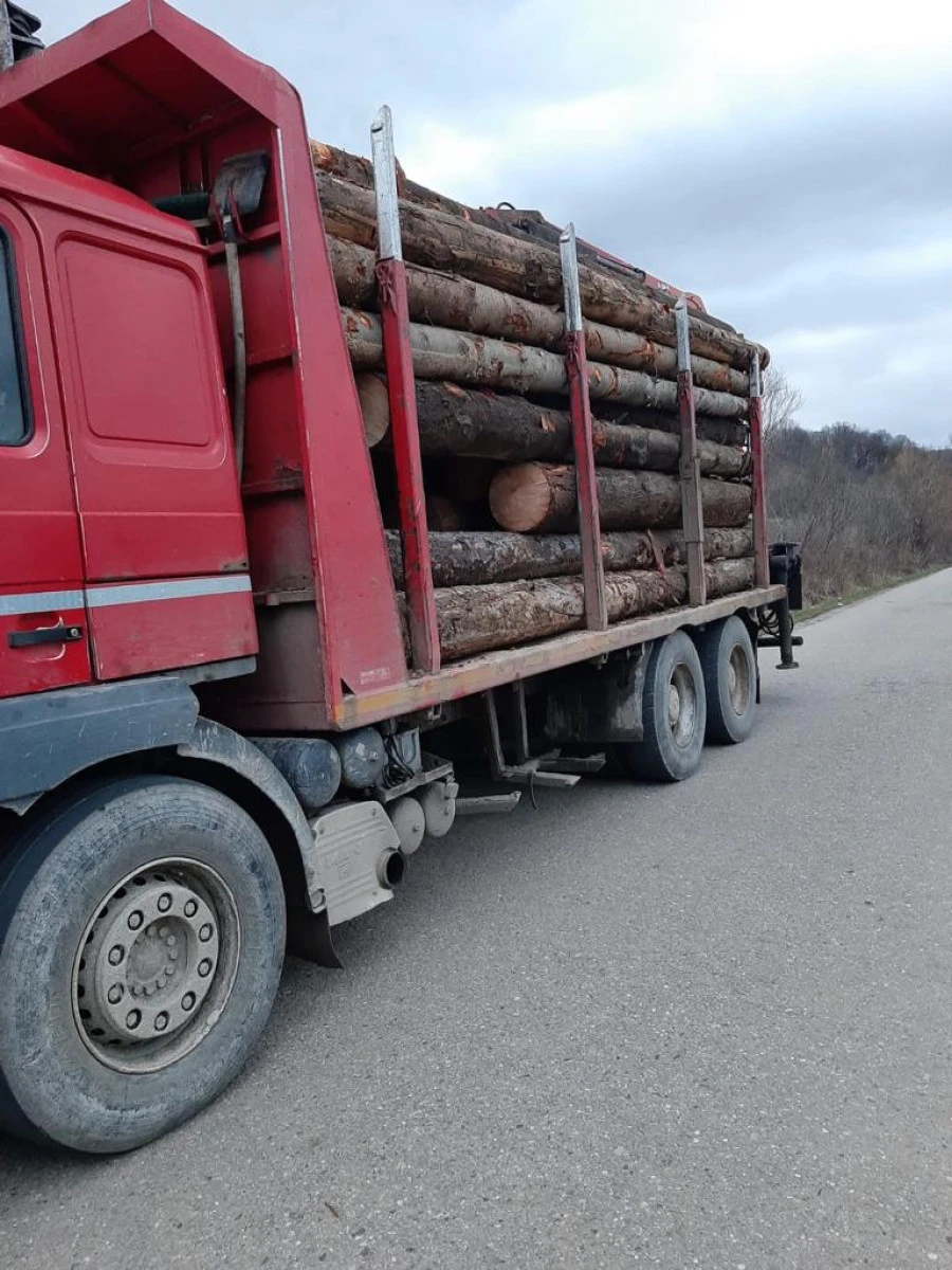 78 de metri cubi de lemne, în valoare de 14.500 de lei, recuperați de jandarmii arădeni