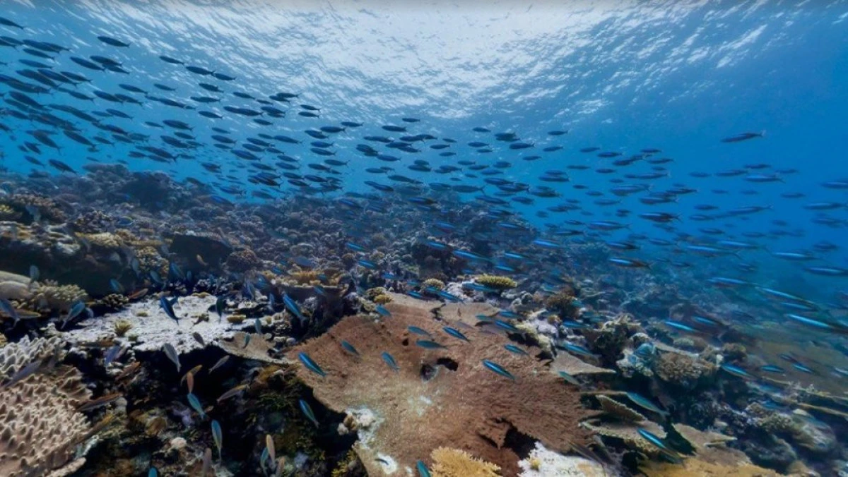 8 iunie - Ziua mondială a oceanelor