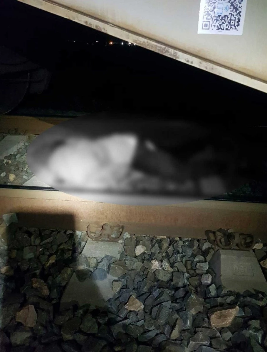 A fost decapitat de tren, între Arad și Vladimirescu