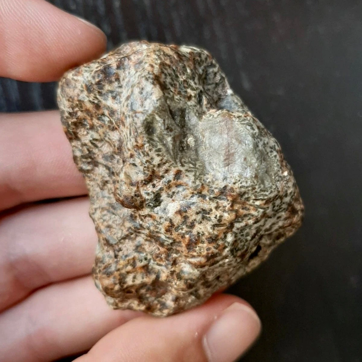 A fost identificat un meteorit la fel de vechi ca sistemul solar