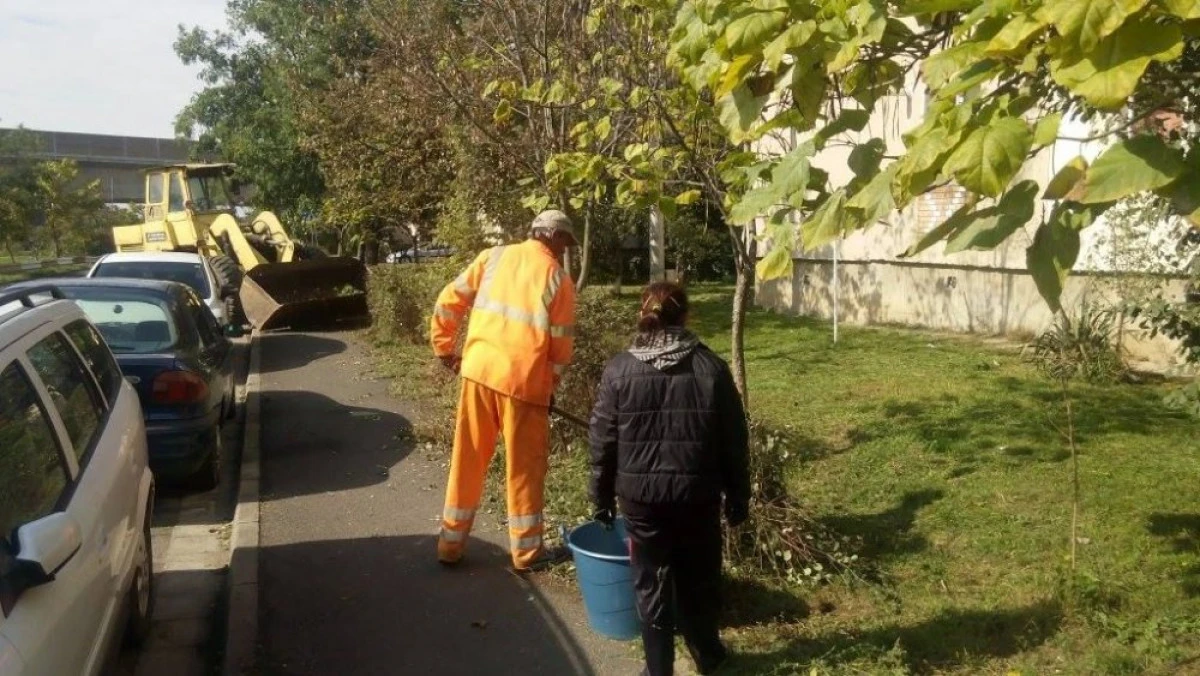 A INCEPUT CURATENIA DE TOAMNA IN MUNICIPIUL ARAD
