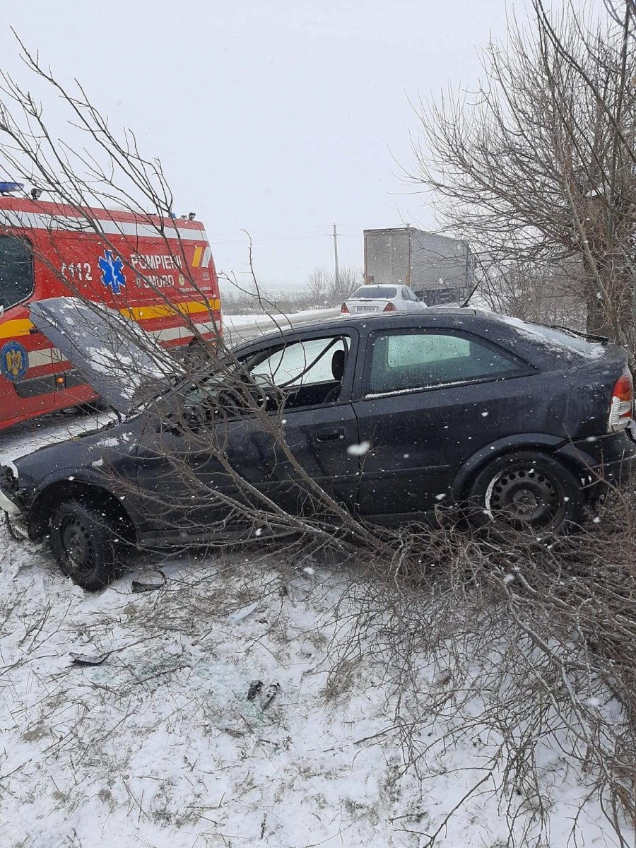 A intrat cu mașina în copac, pe drumul dintre Arad și Zădăreni