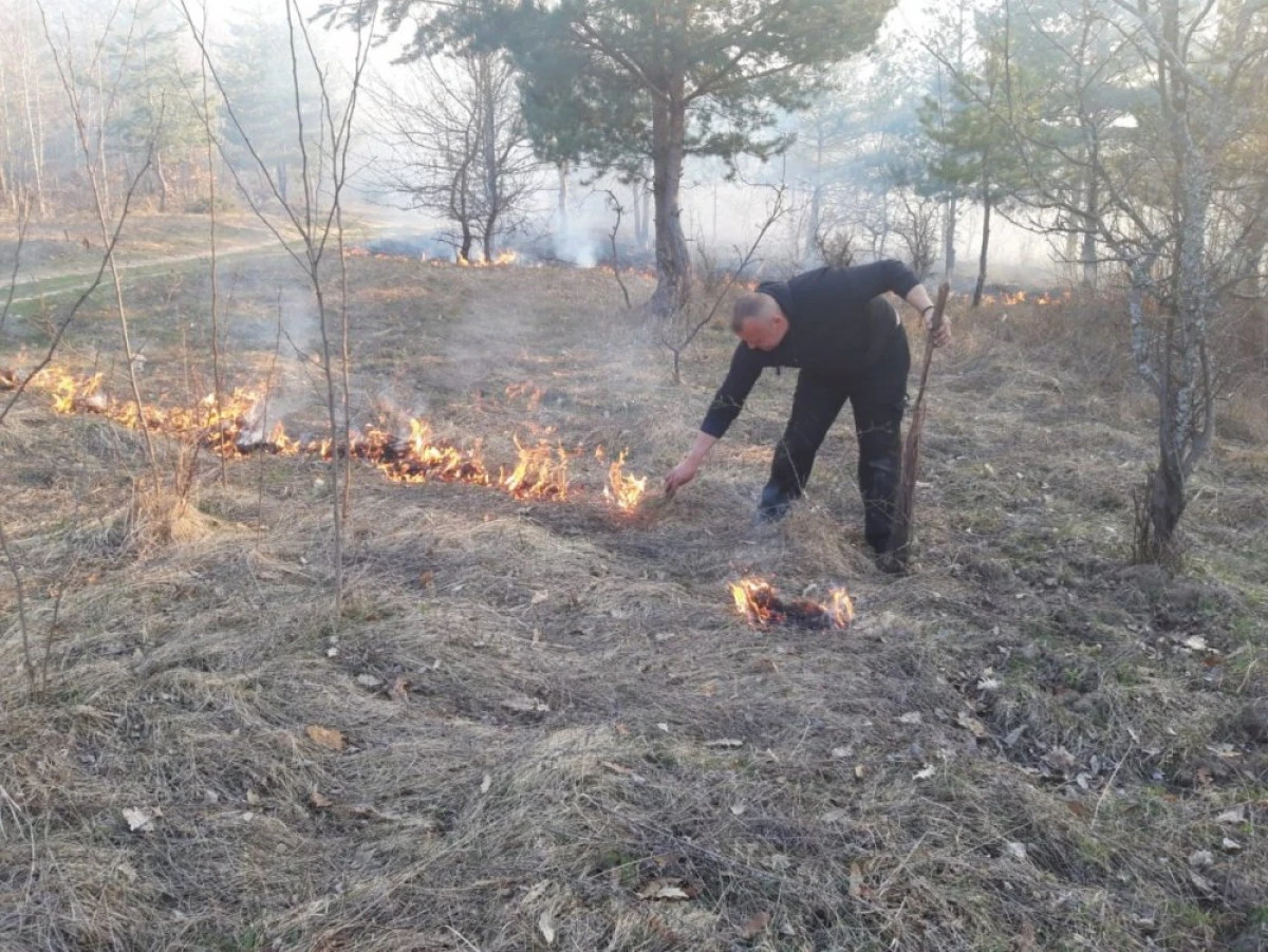 A luat foc pădurea de la Nadăș! Pompierii se luptă de mai multe ore cu flăcările