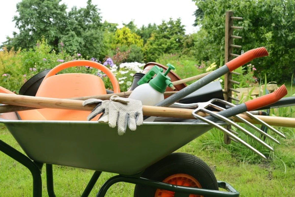A venit primăvara! Ce lucrări sunt recomandate pentru grădină