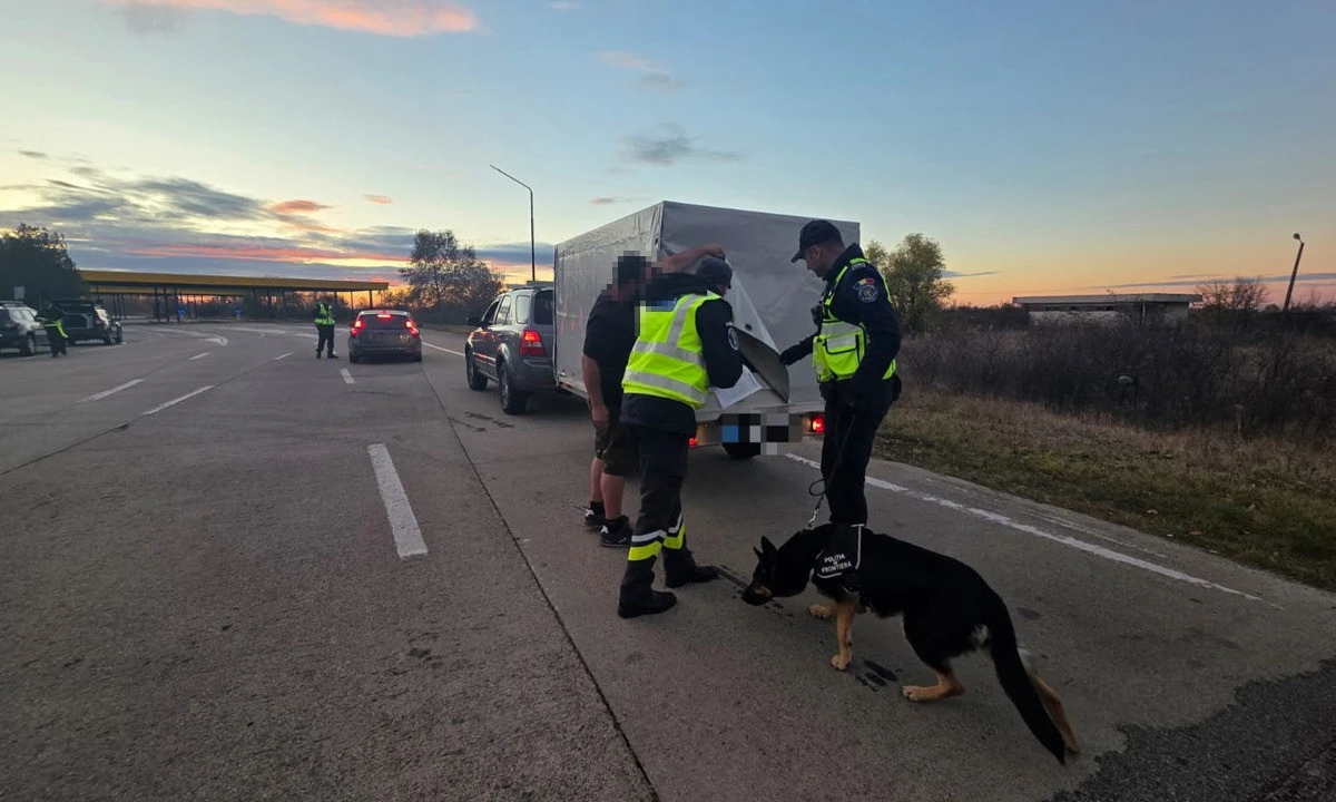 Acțiune de amploare în vămile din Arad și Bihor: peste 2.500 de persoane și vehicule verificate în doar două zile