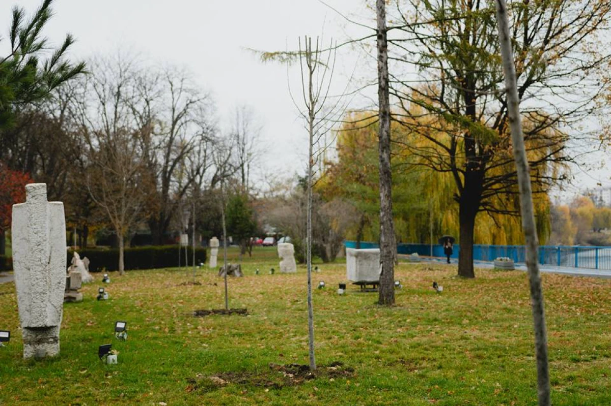 Acțiune de plantare de arbori în Arad