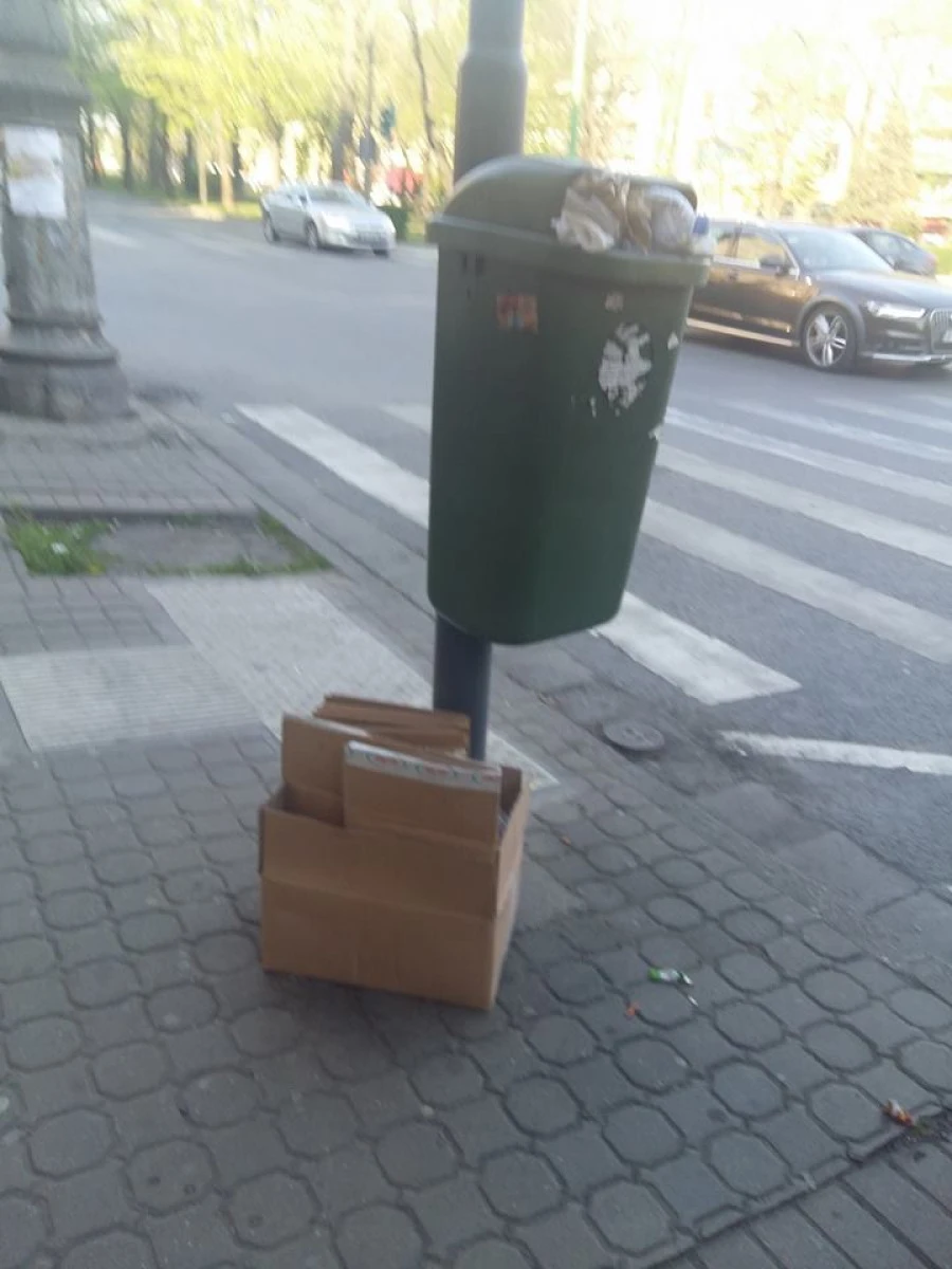 Acţiune fără precedent a arădenilor revoltaţi pe administraţia Falcă. „Ridicăm noi gunoaiele”