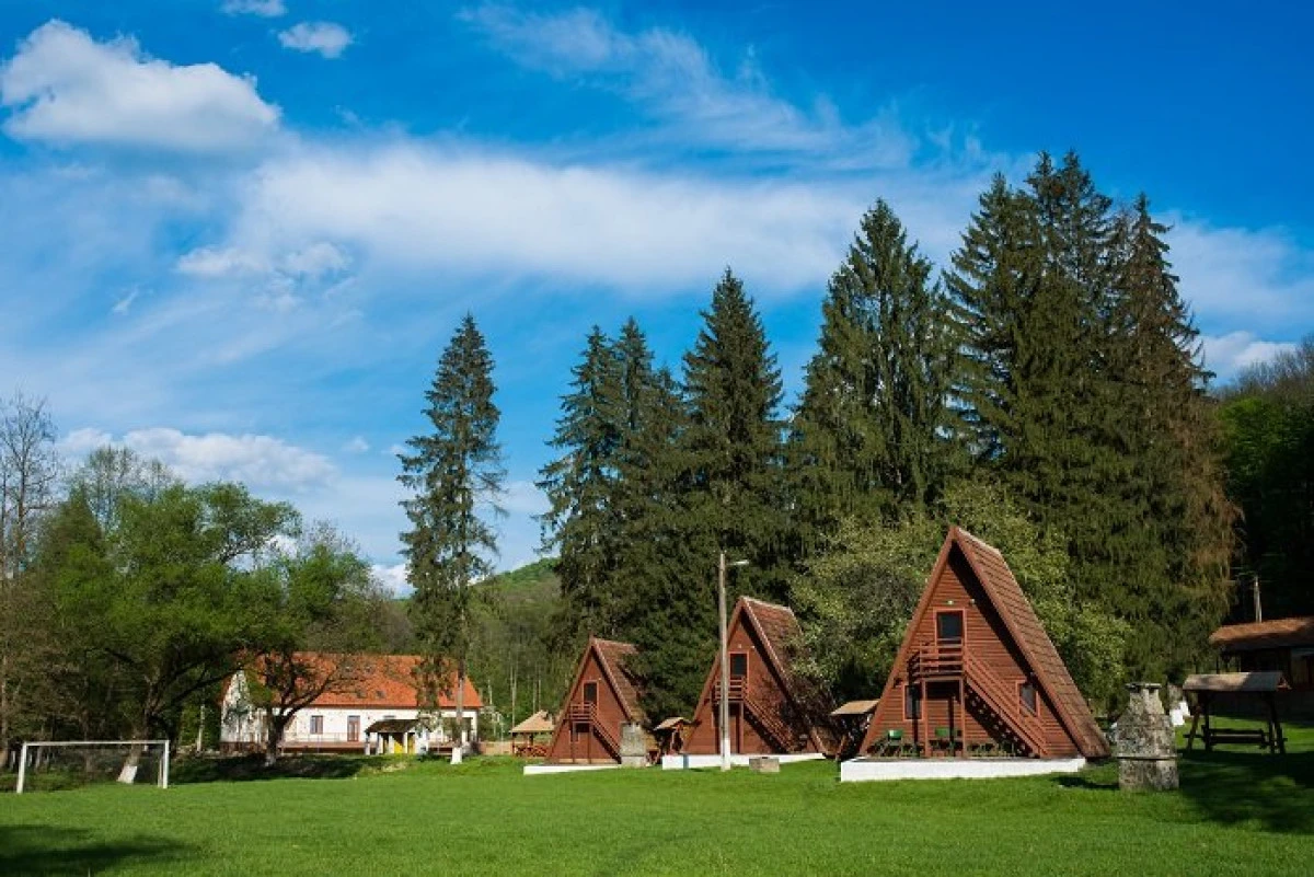 Activități ecologice în Tabăra de la Căsoaia