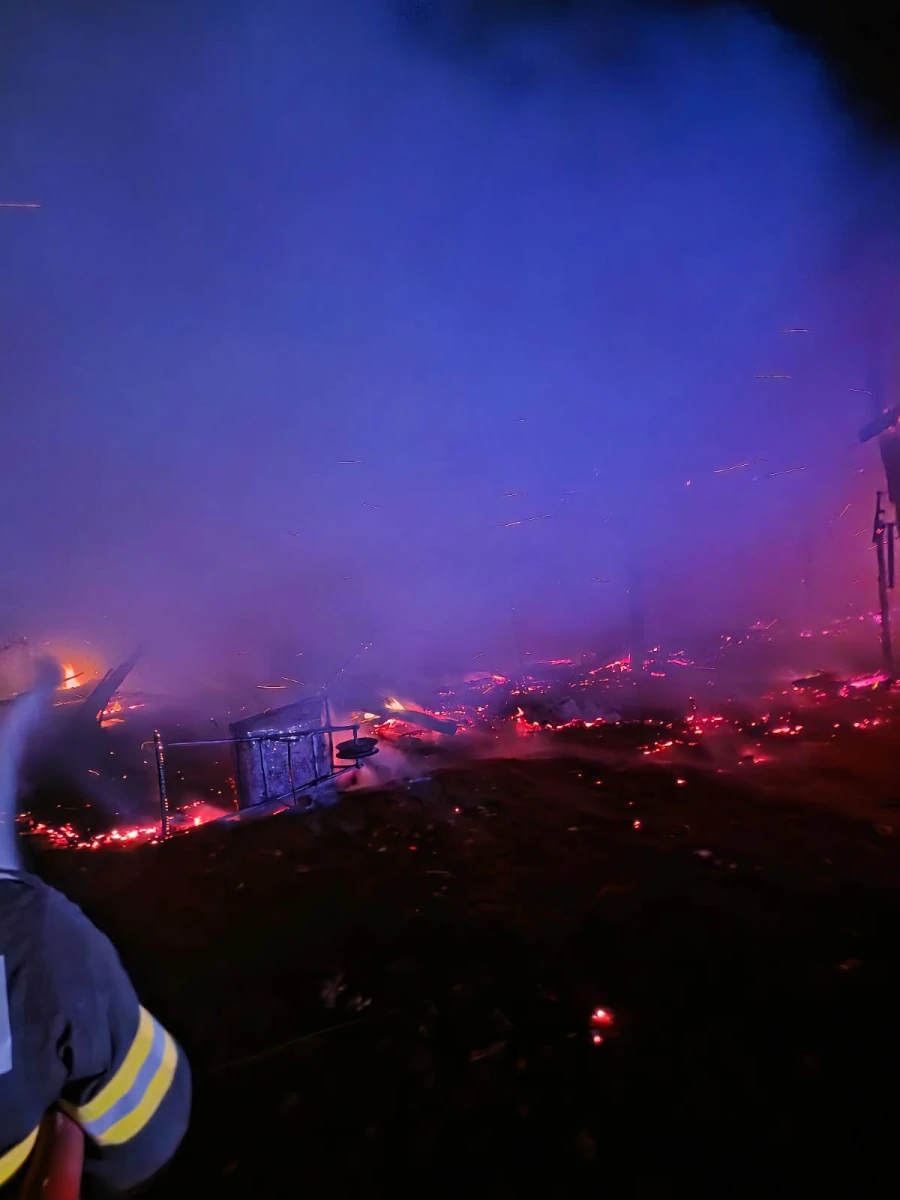 Adăpost de animale din Ineu, distrus în urma unui incendiu