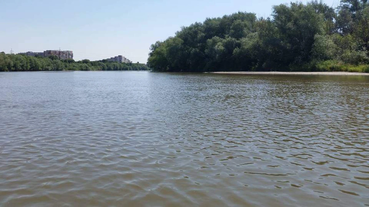 Administrația Parcului Natural Lunca Mureșului a lansat oficial filmul de prezentare a parcului