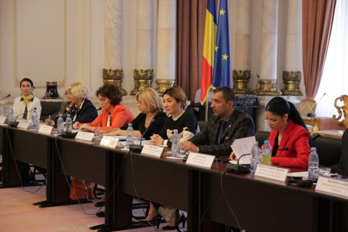 Adrian Wiener, unul dintre moderatorii conferinței „Egalitatea de gen: Test pentru democrație”
