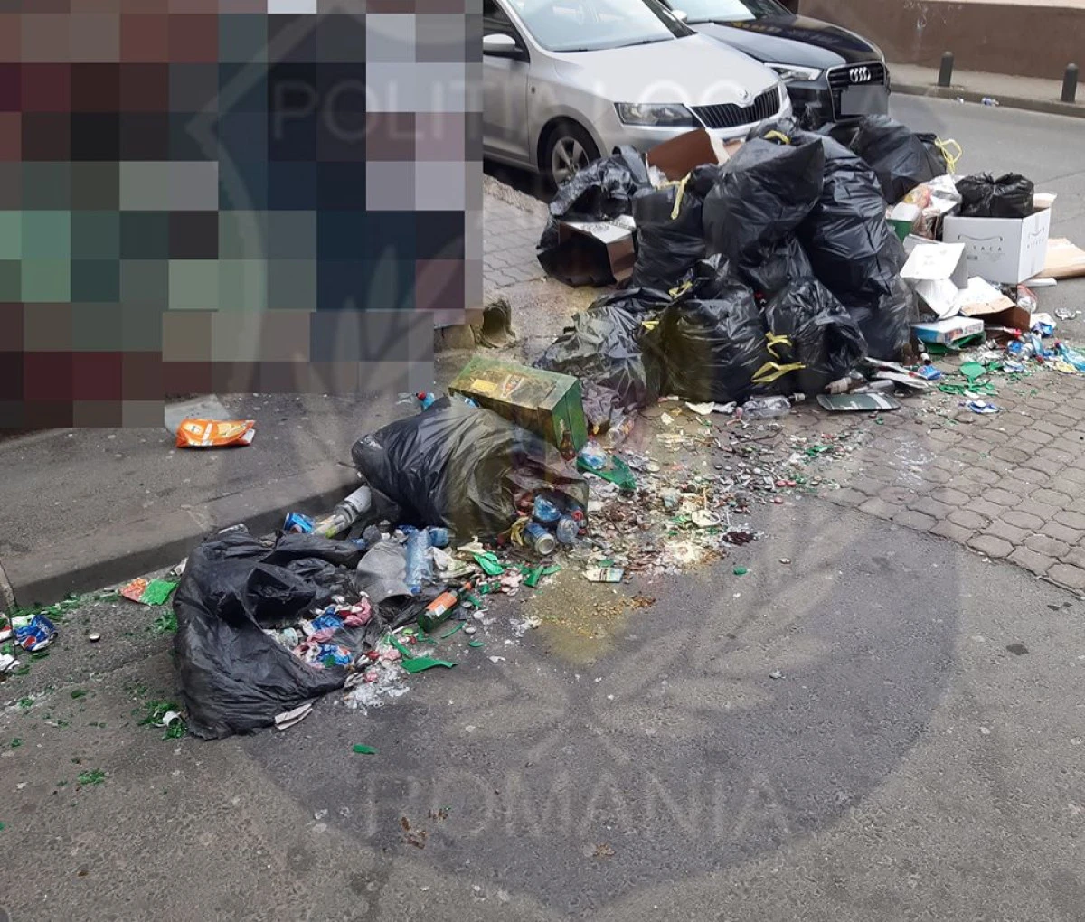 Agent economic din Arad, amendat și pus să curețe gunoiul aruncat pe domeniul public