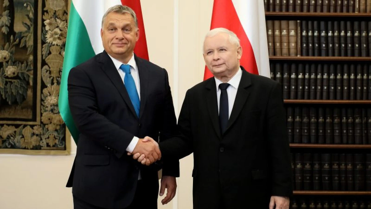 Alegerile din UE revigorează discuțiile eurosceptice în Polonia și Ungaria