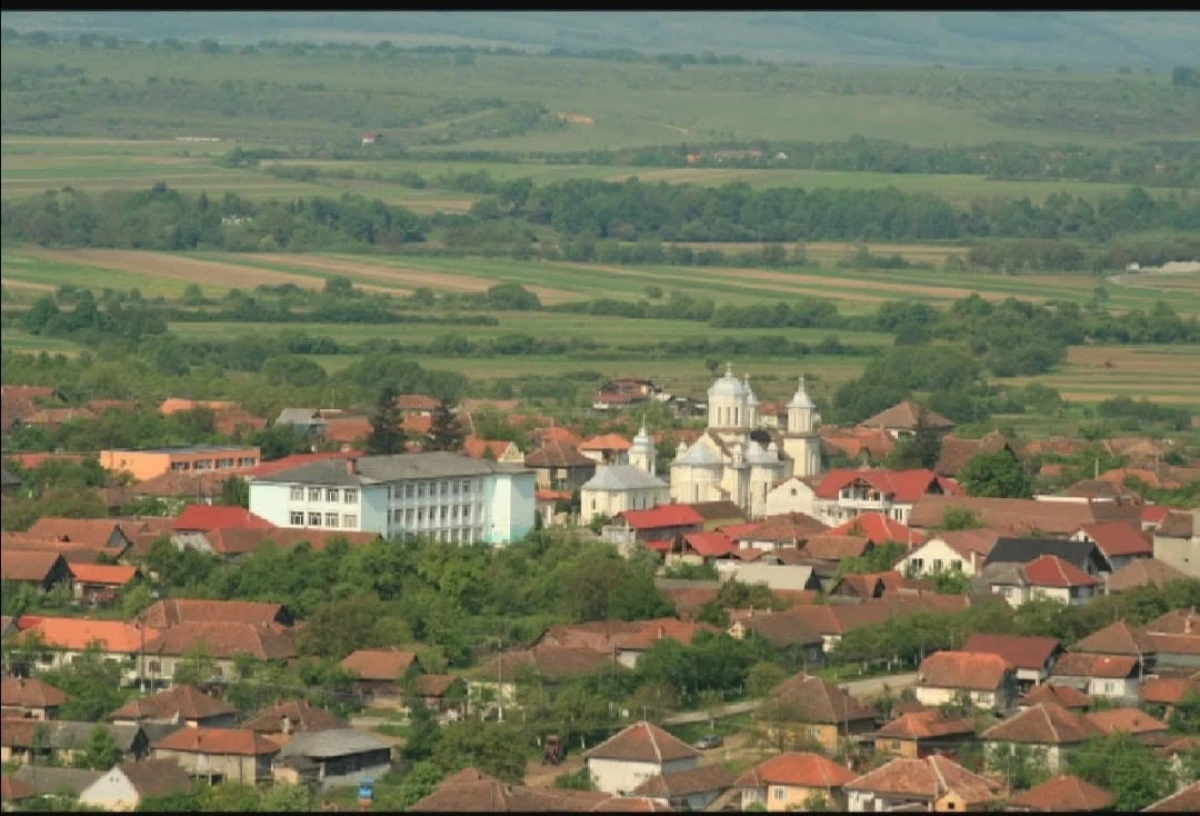 Alertă la Gurahonț după ce un vițel a fost găsit mort. Suspiciuni că a fost atacat de un animal sălbatic de talie mare