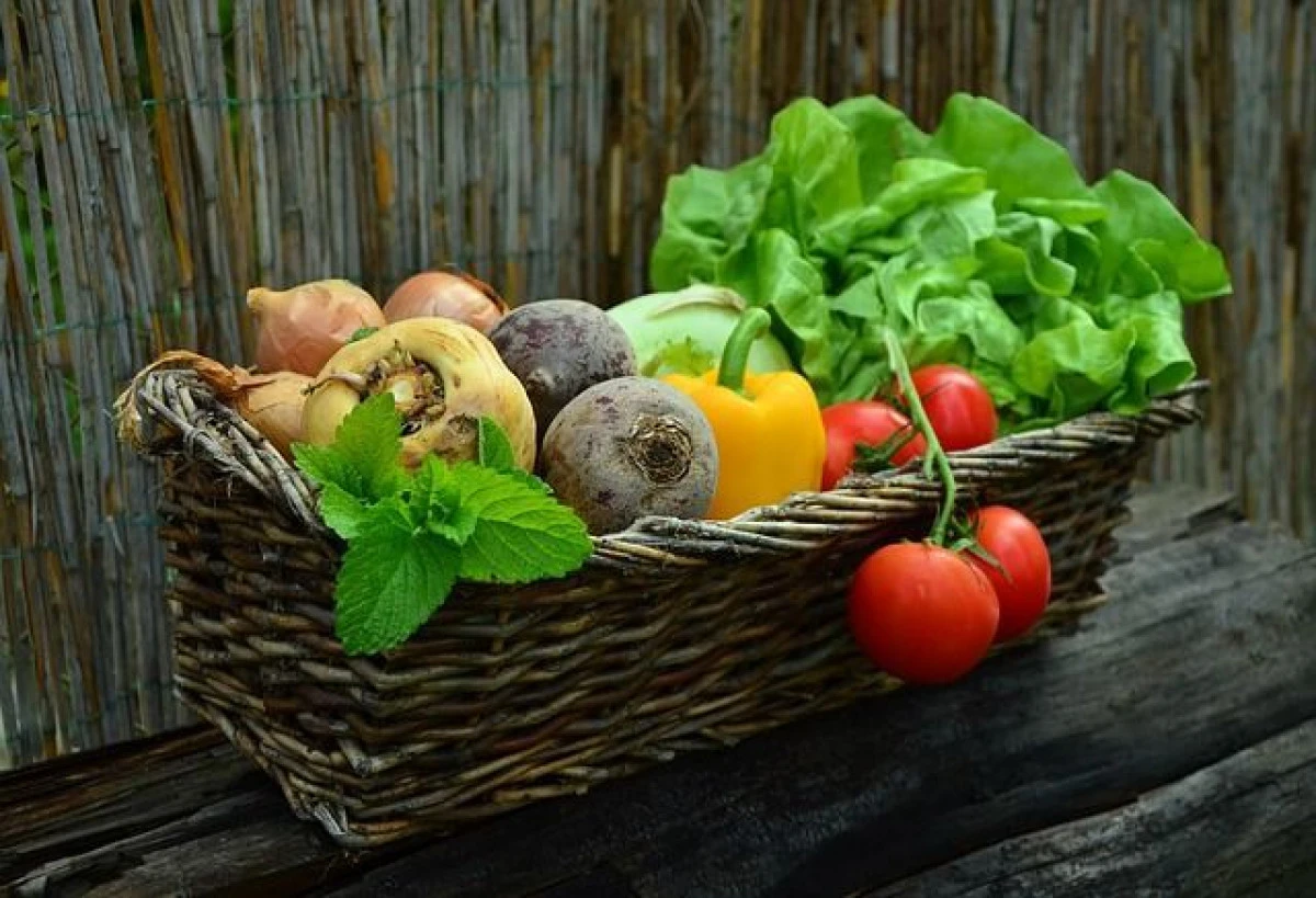 Alimente care mențin flora intestinală sănătoasă