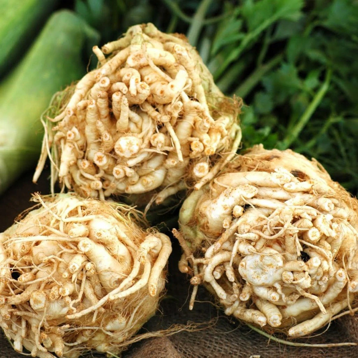 ALIMENTUL CARE IMBUNATATESTE SANATATEA ARTICULARA