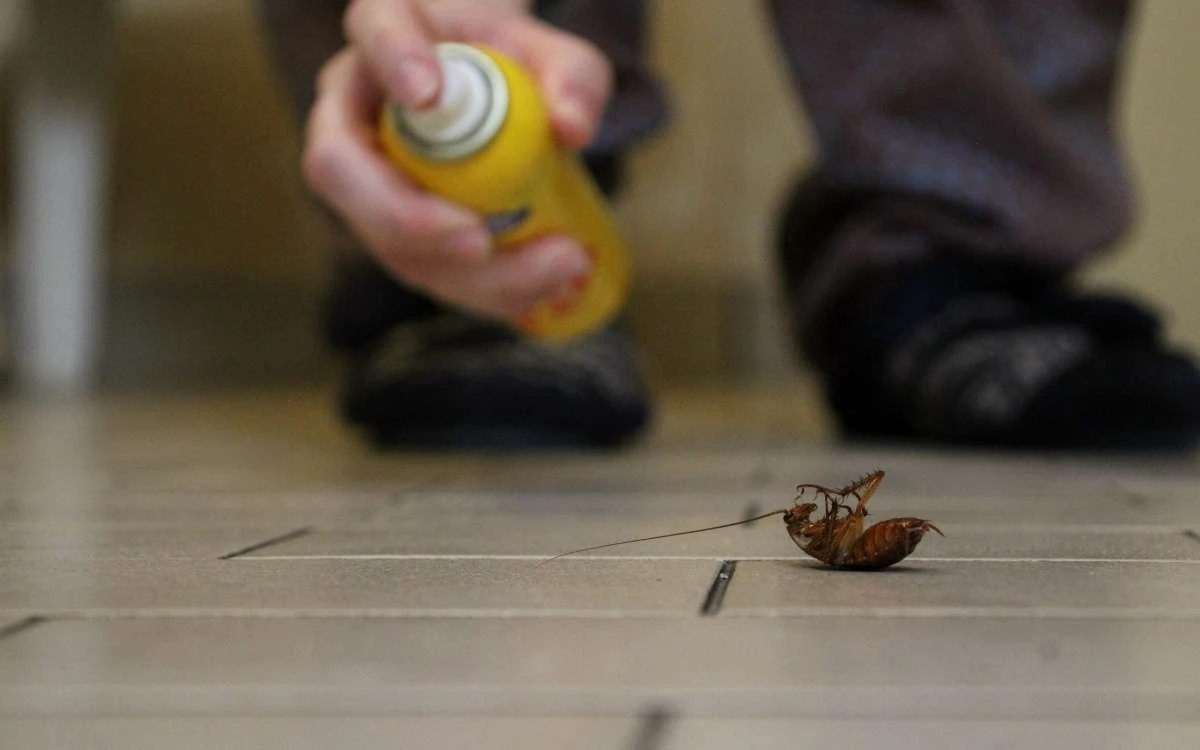 Alţi doi soţi au murit după ce au dat cu insecticid de ţânţari. Avertismentul medicilor