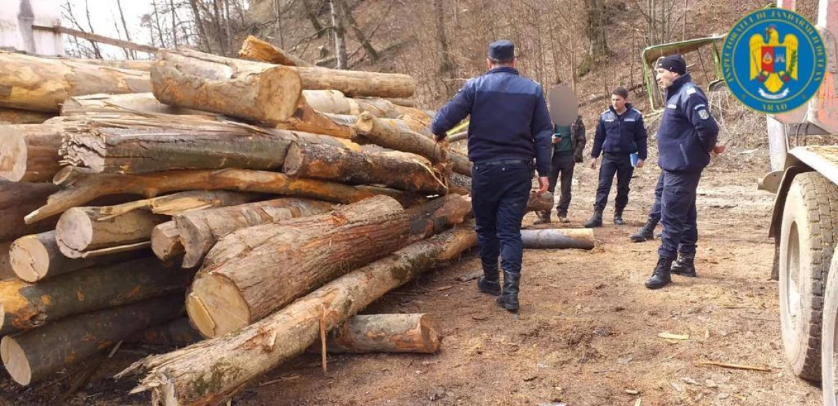 Amenzi în valoare de 2900 lei date de jandarmii arădeni la sfârșit de săptămână
