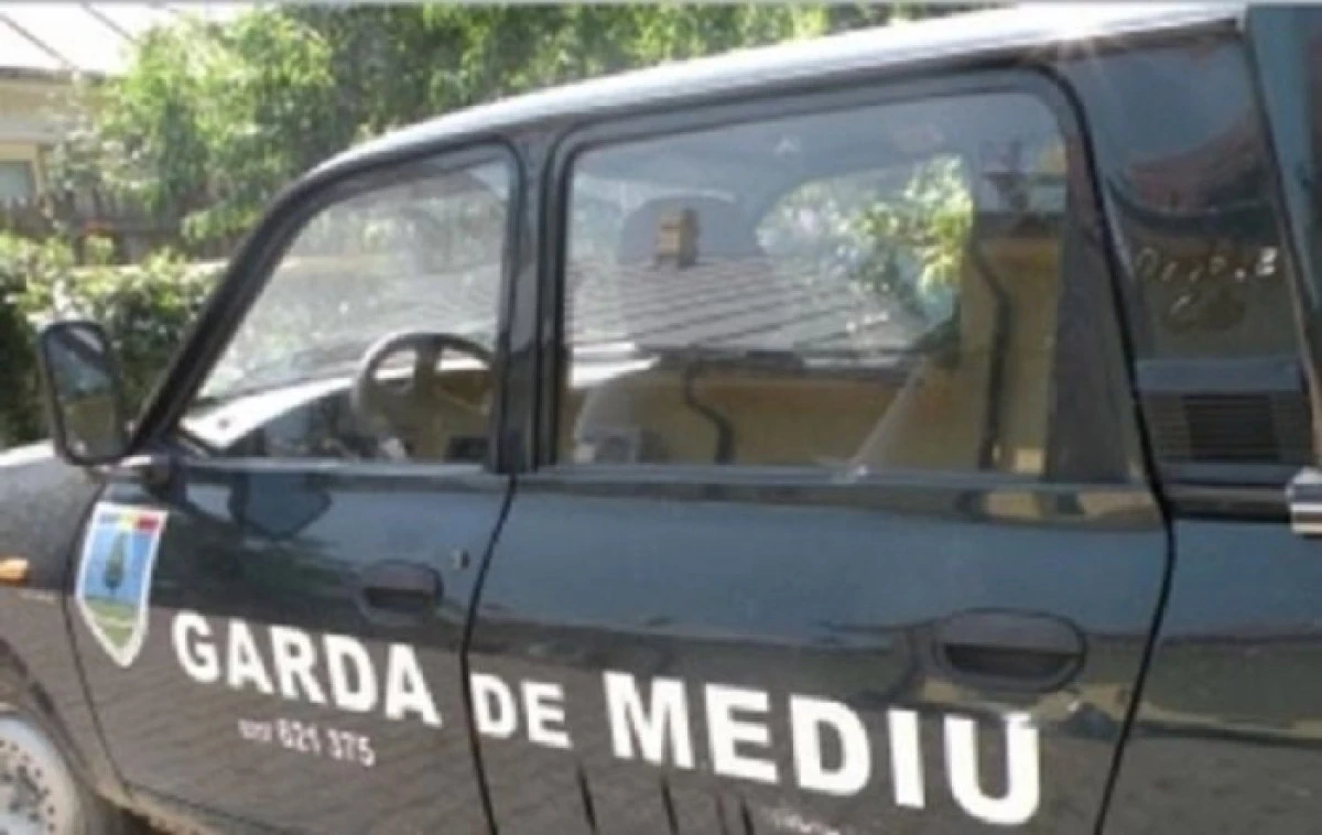 Angajații Gărzii de Mediu intră în grevă pe termen nelimitat