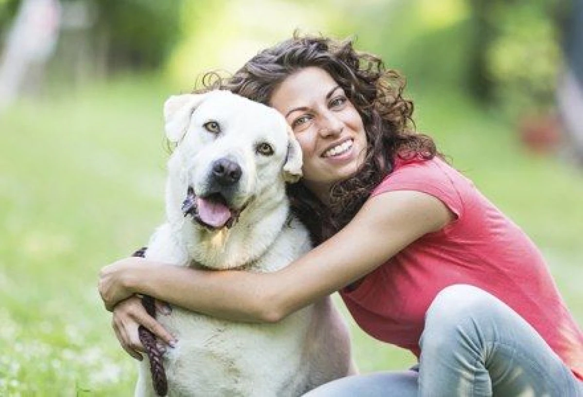 ANIMALELOR DE COMPANIE NU LE PLACE SĂ FIE ÎMBRĂȚIȘATE