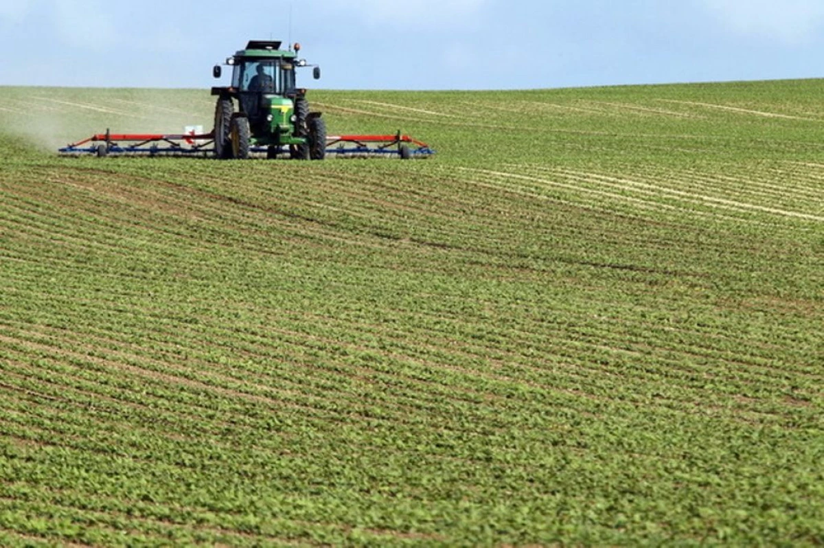 APIA VA PLATI UN AVANS IN VALOARE DE 52,95 EURO/HECTAR PE SUPRAFATA AGRICOLA, INCEPAND CU 2 NOIEMBRIE