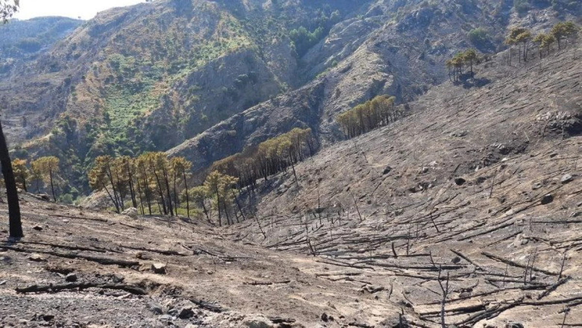 Aproape 50 de grade, temperatură record în Europa