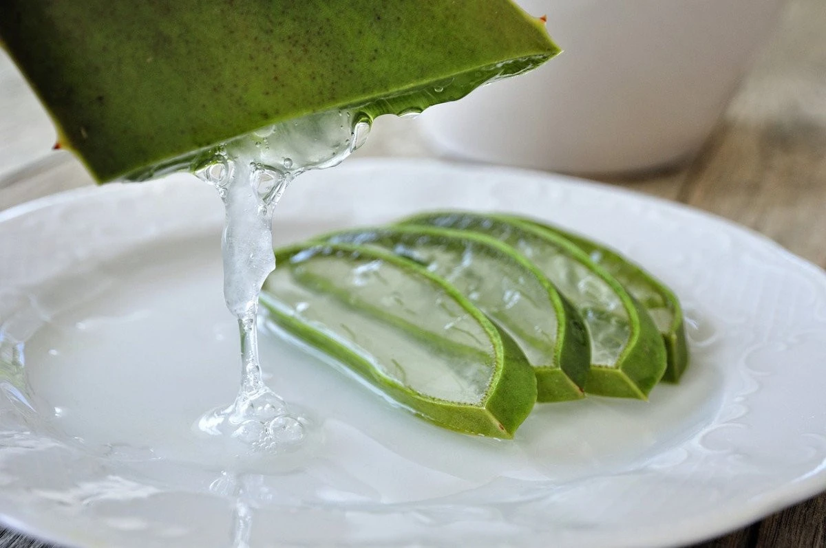 Ar trebui să fim atenți la aloe vera?