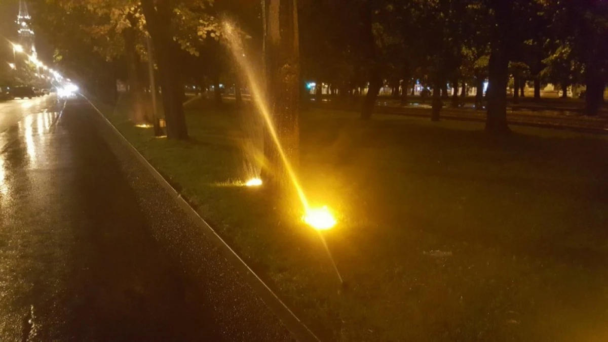 Arad... plouă... aspersoarele funcţionează. Drei wetter Falcă