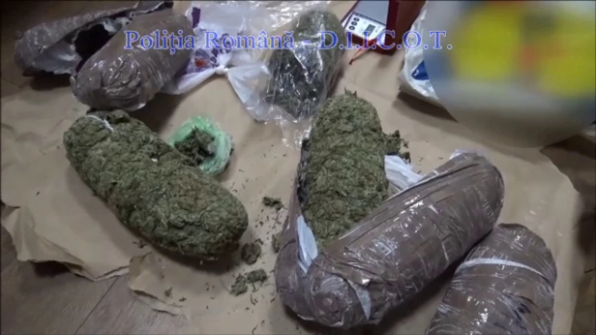 Arădean "săltat" de DIICOT, în timp ce ridica 13 kilograme de canabis de la o firmă de curierat