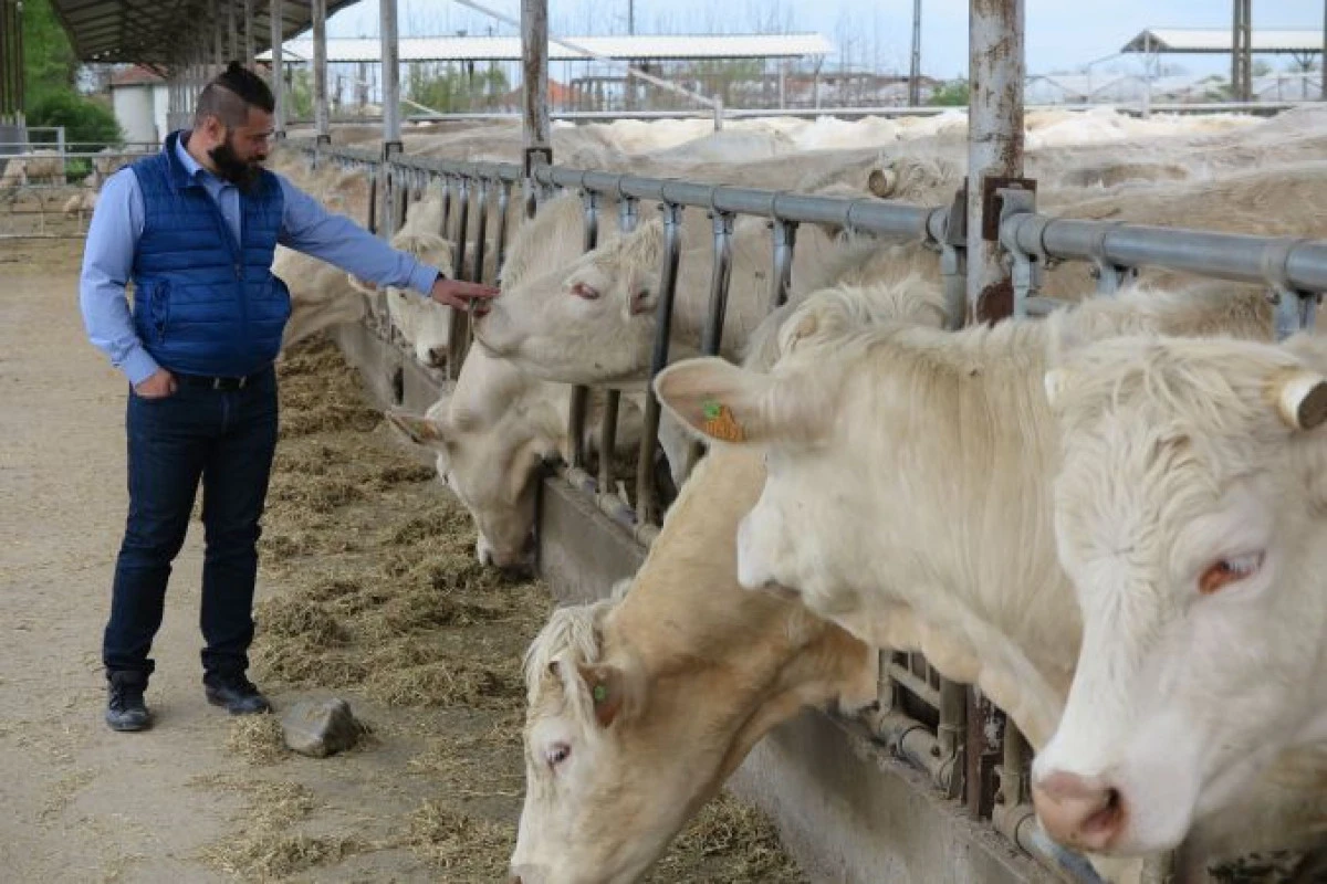 Arădeanul Călin Muscă investeşte 10 milioane de euro într-un nou spaţiu integrat de producţie