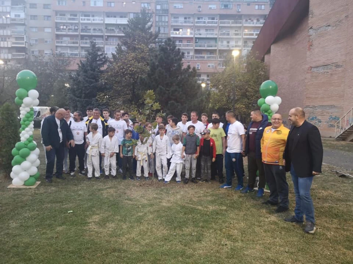 Arădenii au plantat copaci, de Ziua Mondială a Judoului (FOTO)