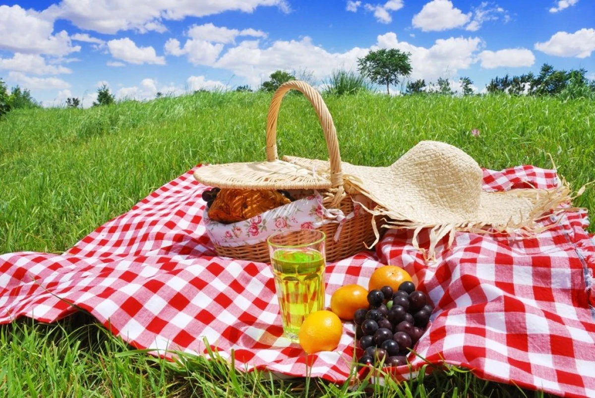 ARADENII SUNT INVITATI LA PICNICUL COPILARIEI