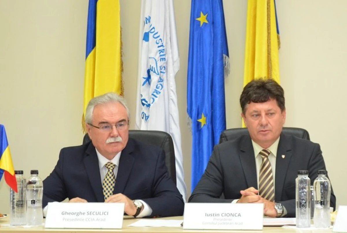 Aradul și Verona dezvoltă proiecte comune în afaceri, turism, cultură și sport