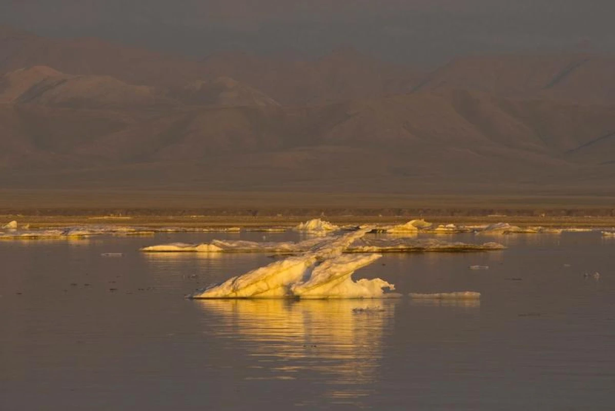 Arctica s-a încălzit de trei ori mai repede decât restul Pământului din 1971