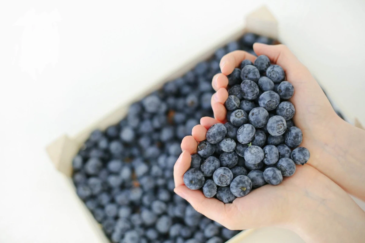 Aronia vs. afinele: care este mai bogat în antioxidanți?