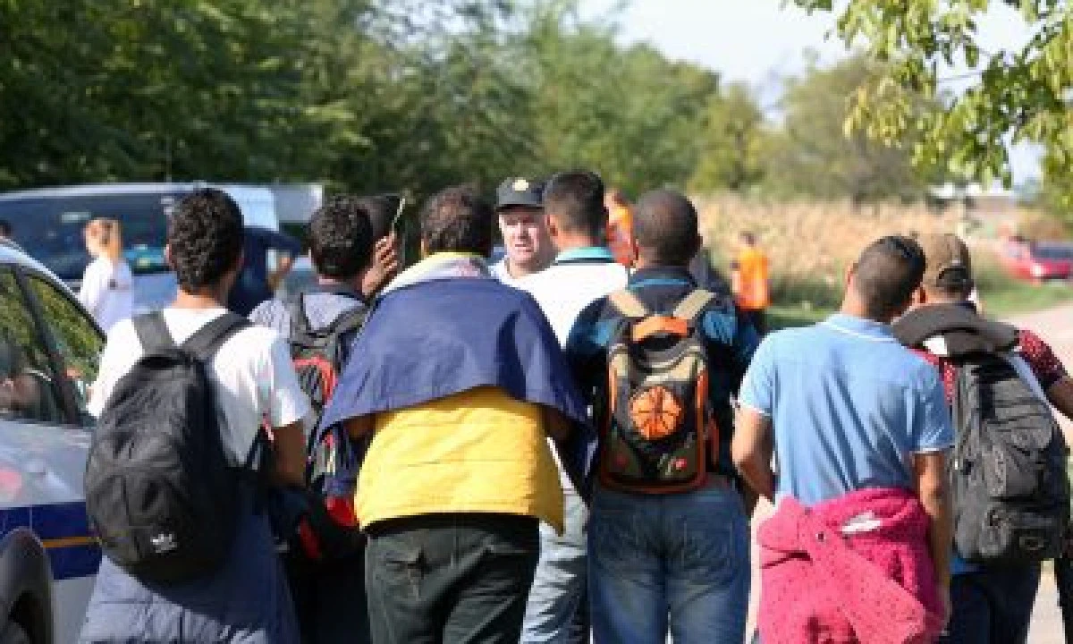 Ascunși în automarfare cu intenția de a trece ilegal în Ungaria