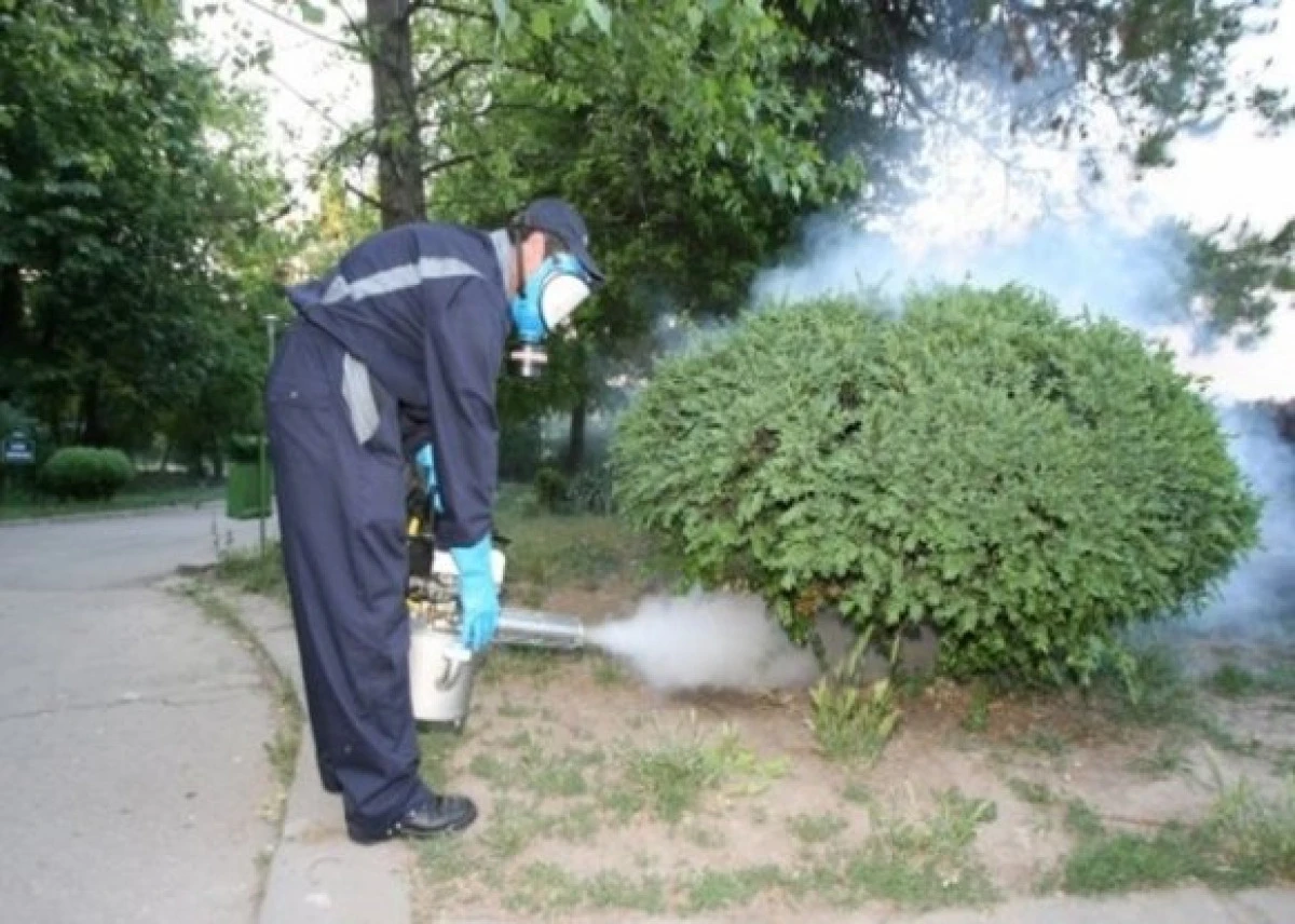 Atenție, arădeni! GCA va trata chimic gazonul şi plantele din parcuri pentru eliminarea mucegaiului